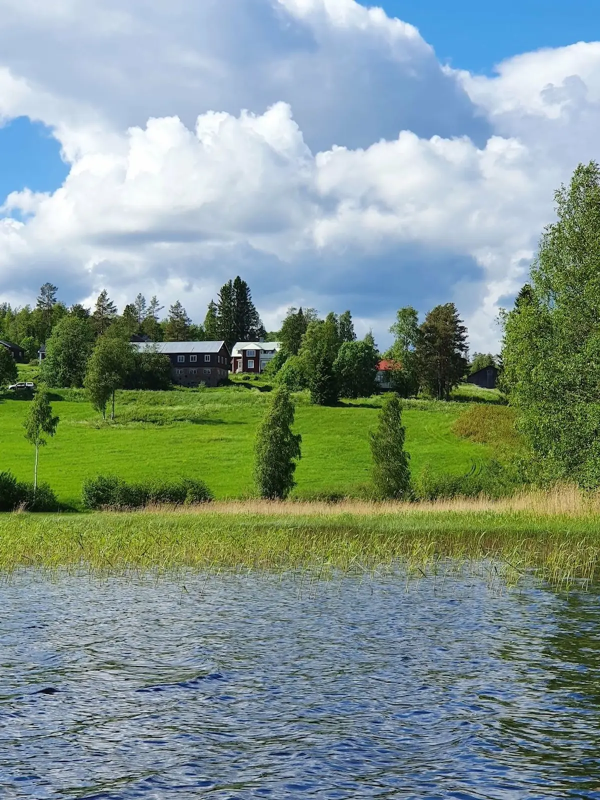 Image 1 of 48 of Öje 440