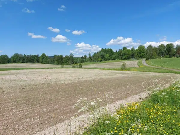 Image 1 of 1 of Löa, Sörsjön
