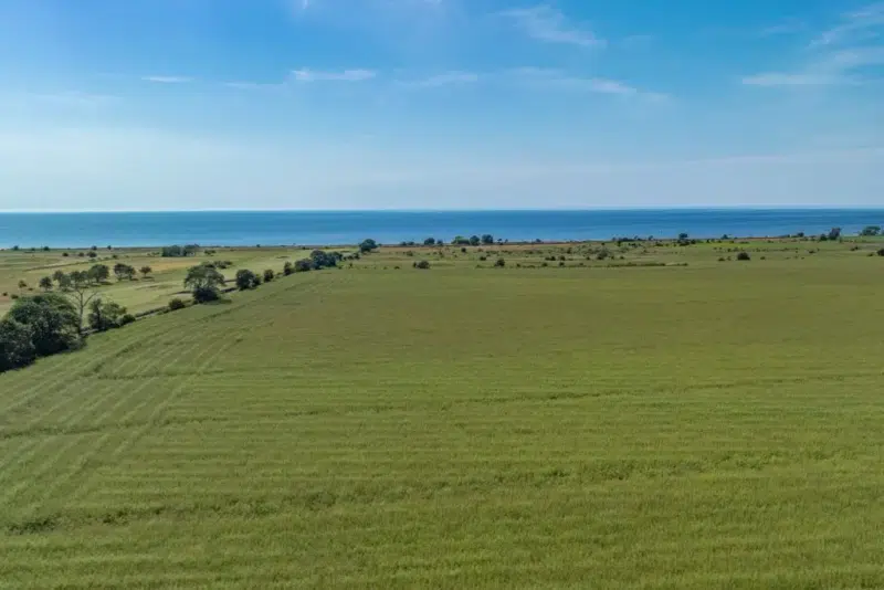 Land / plot, 1333 m² in Ventlinge
