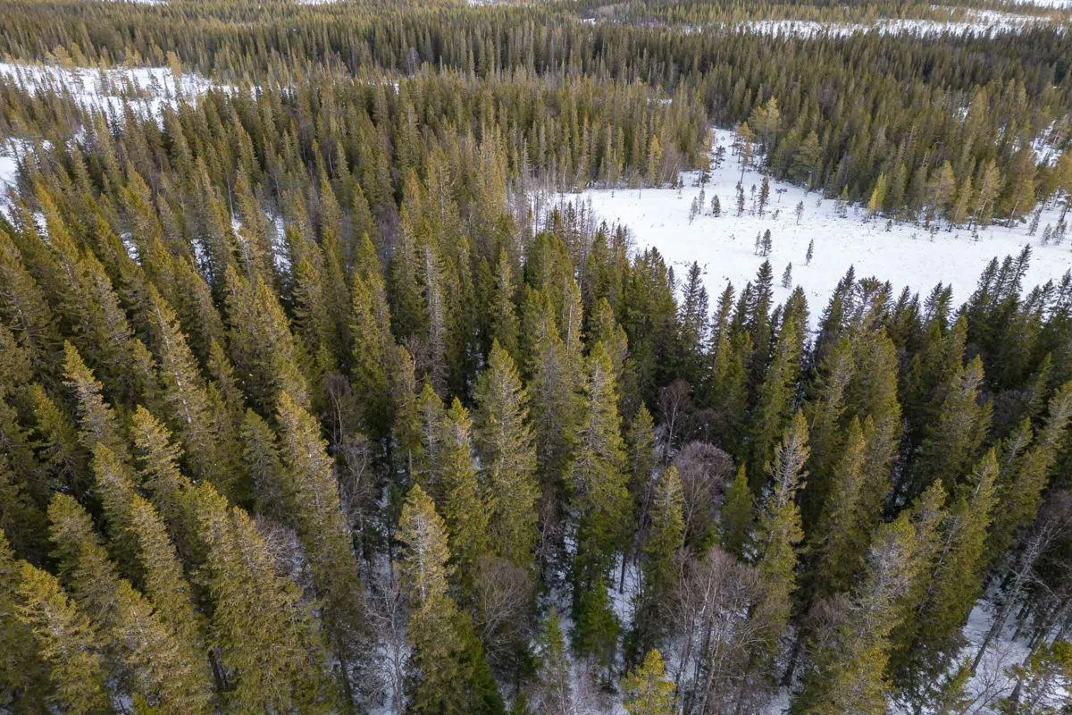Bild 1 av 1 på Klevfjällsvägen 10