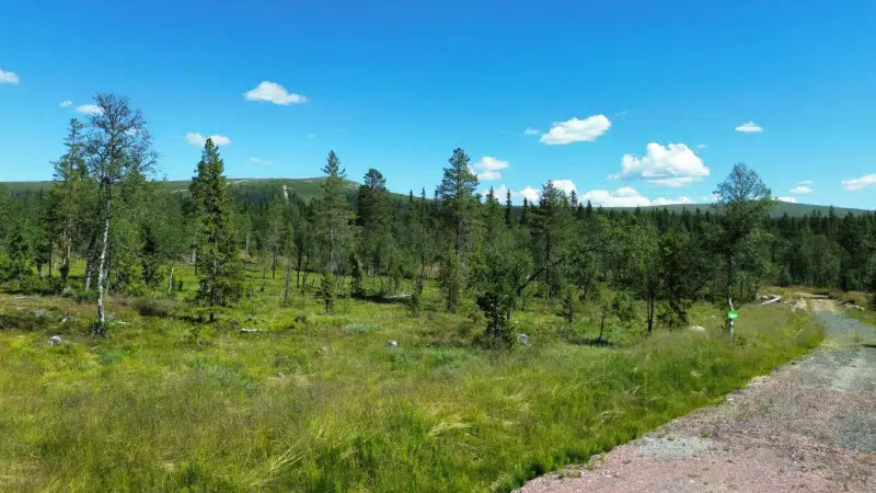 Land / plot in Älvdalen