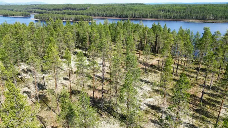 Tomt / mark i Älvdalen