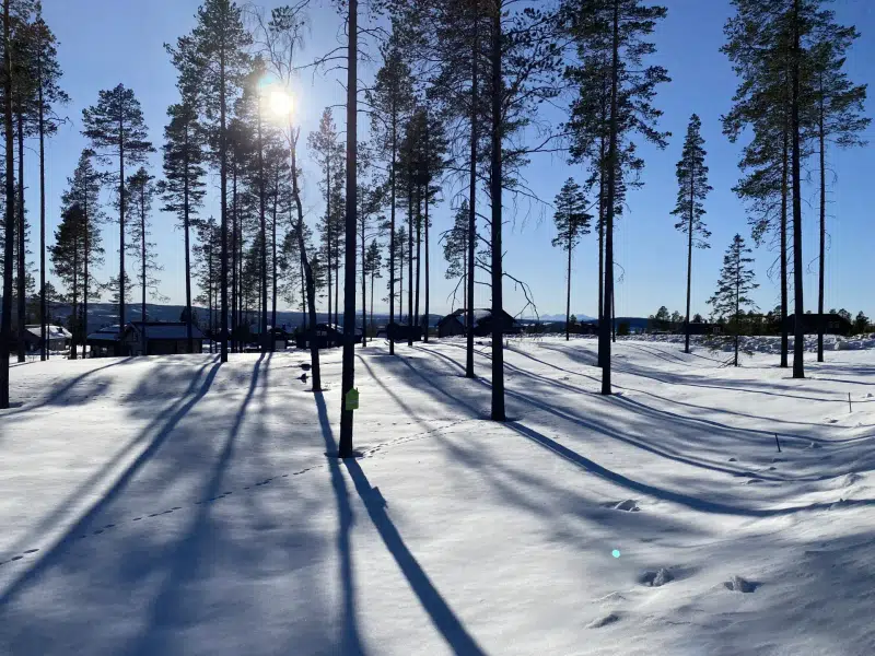 Land / plot in Älvdalen