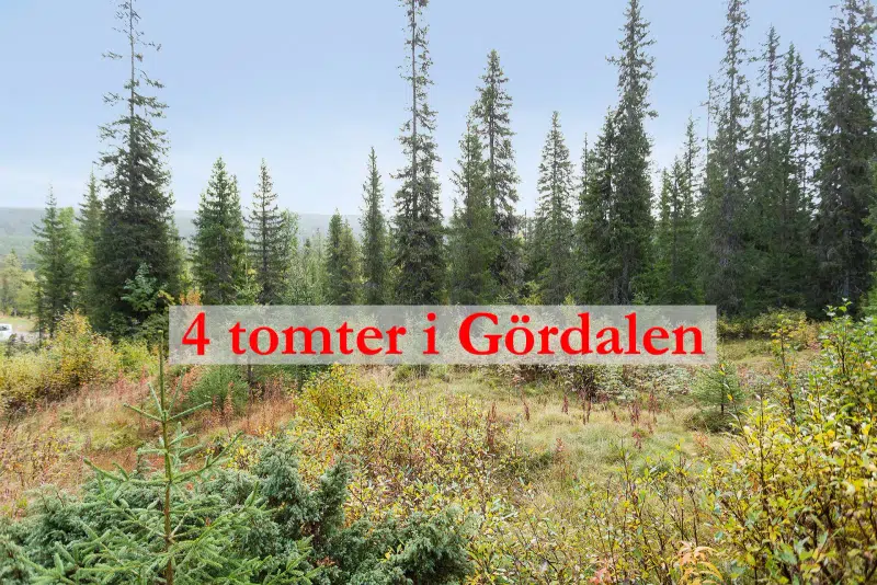 Tomt / mark i Älvdalen