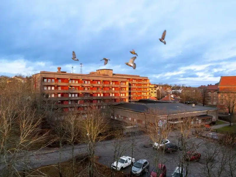 Övrigt, 3515 m² i LP: 2026-02-04
                        U: 2026-07-02
                        FP: 2025-12-18