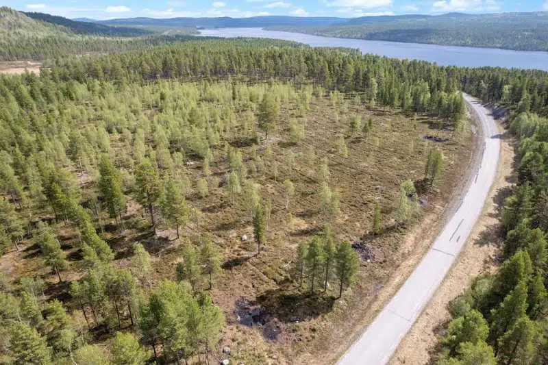 Tomt / mark i Arjeplog