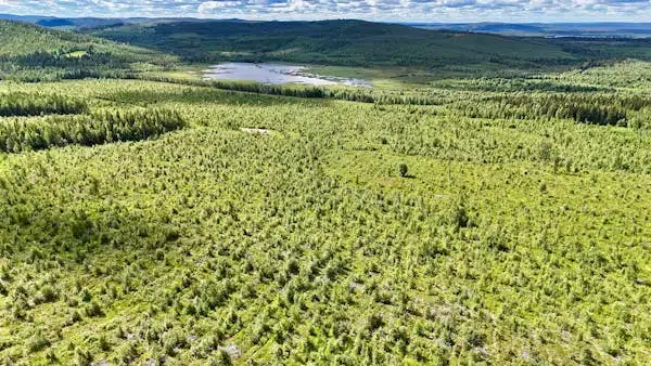 Lägenhet i Norsjö
