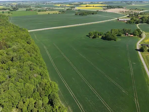 Farm