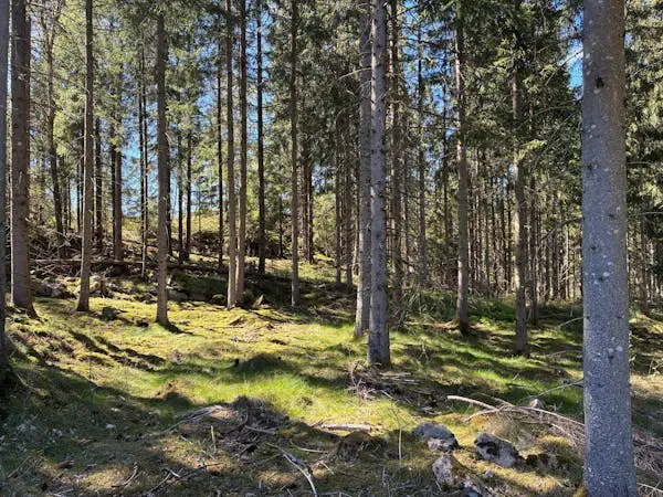 Gård, LILLA EDET INTAGAN 7:1 (DEL AV), Lilla Edet. Bild 1 av 1