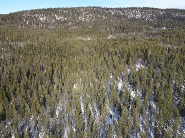 Gård i Åsele