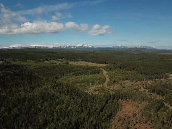 Bild 1 av 1 på BERG LOCKÅSEN 4:18