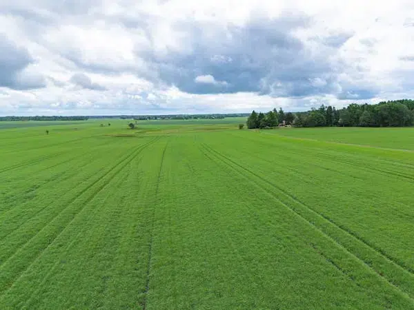 Gård i Grästorp