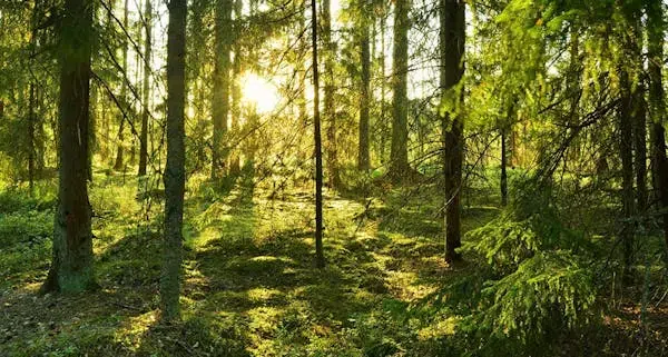 Lägenhet i Jokkmokk