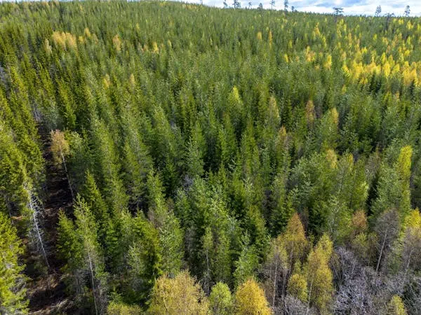 Gård, Västeråsen 205, Ragunda. Bild 1 av 1