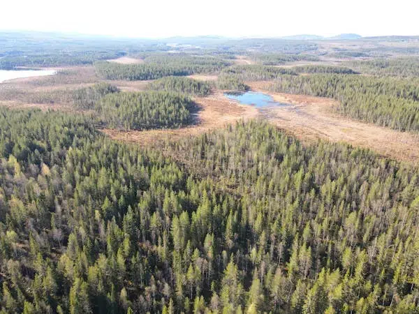 Gård i Åsele
