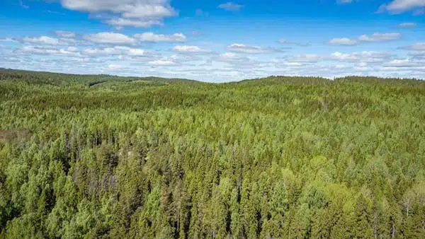 Gård i Kramfors