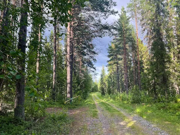 Bild 1 av 1 på STORUMAN BASTUTRÄSK 6:7