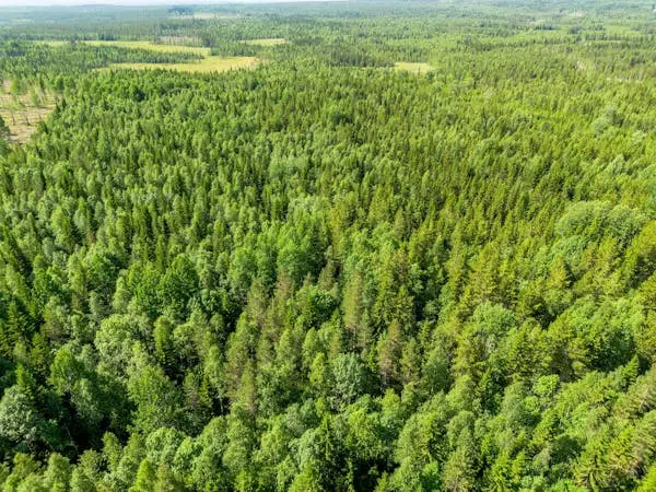 Bild 1 av 1 på STRÖMSUND TÅSJÖ 4:48