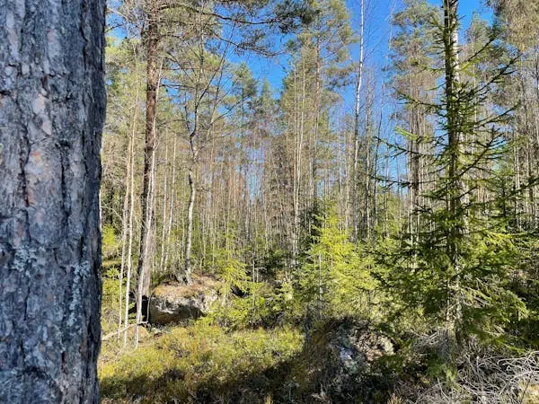 Farm, Skog i Djura, Leksand, Leksand. Photo 1 of 1