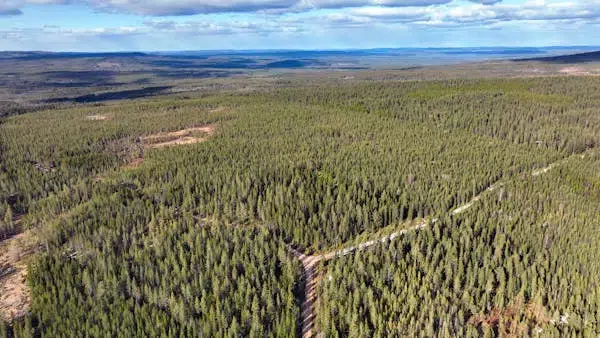 Gård i Härjedalen