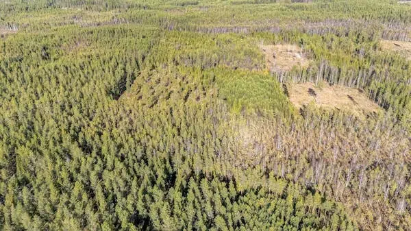 Farm in Mora