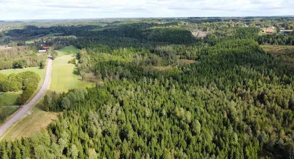 Gård
