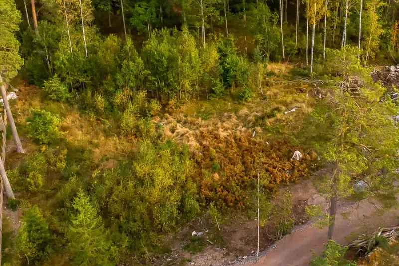 Land / plot, 2551 m² in Söderköping