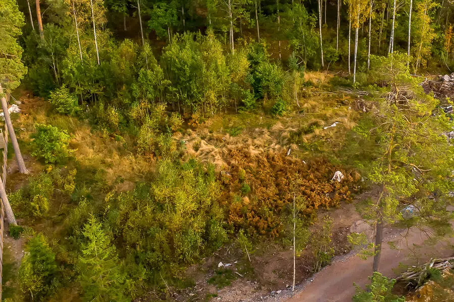 Bild 1 av 41 på Konvaljevägen 12