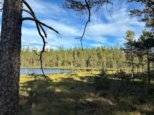 Lägenhet i Tranemo
