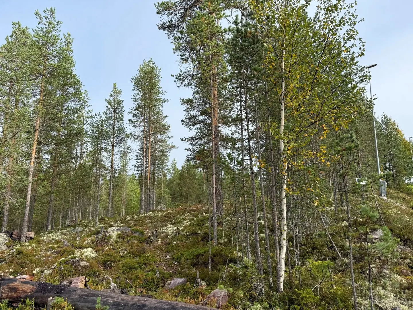 Bild 1 av 11 på Tomt Blåbärsstigen 19
