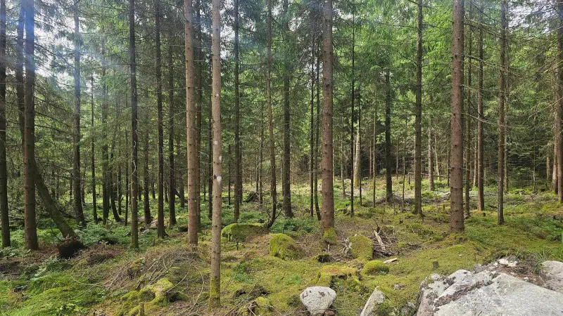 Land / plot, 1550 m² in Alingsås