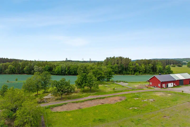 Land / plot