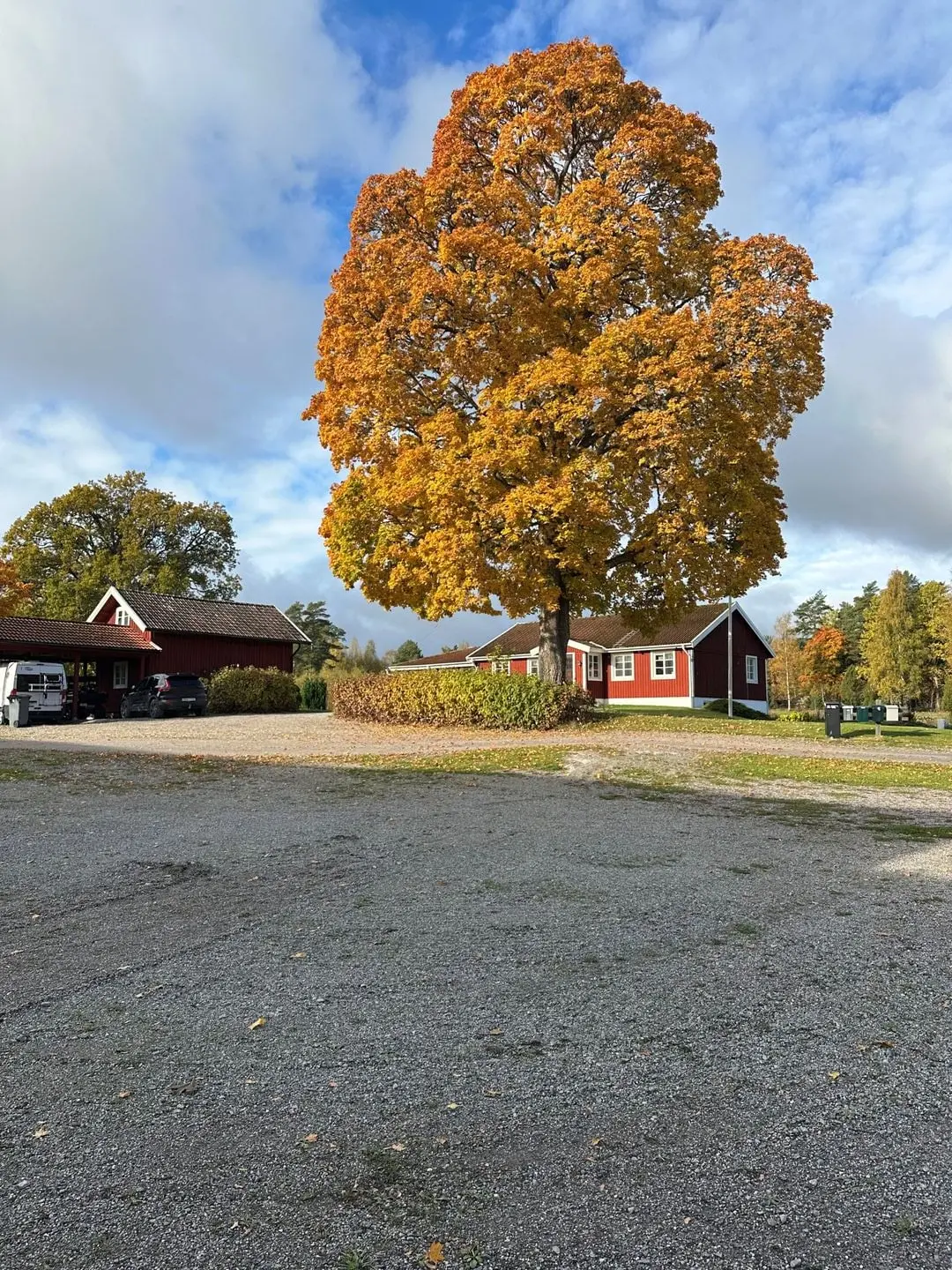 Bild 1 av 86 på Forsa Kärrsäter 1