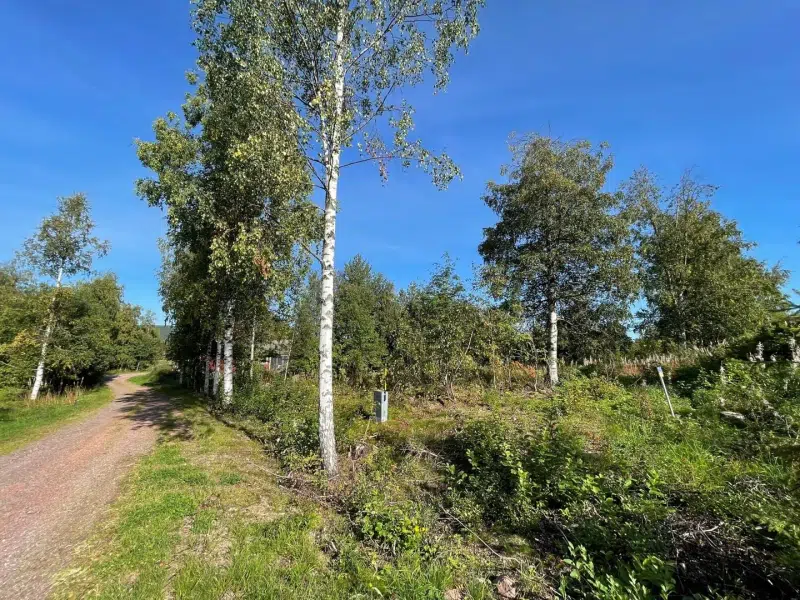 Land / plot, 551 m² in Älvdalen