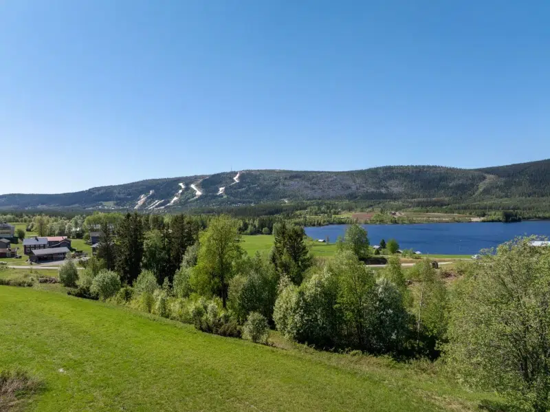 Tomt / mark i Berg