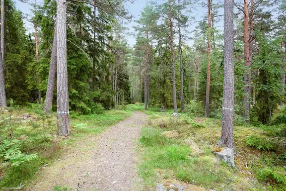 Image 1 of 21 of Stuga