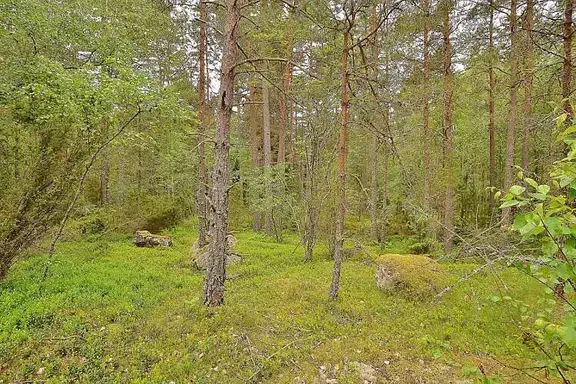Lägenhet
