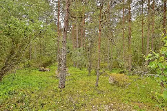 Bild 1 av 1 på Bangårdsgatan 26