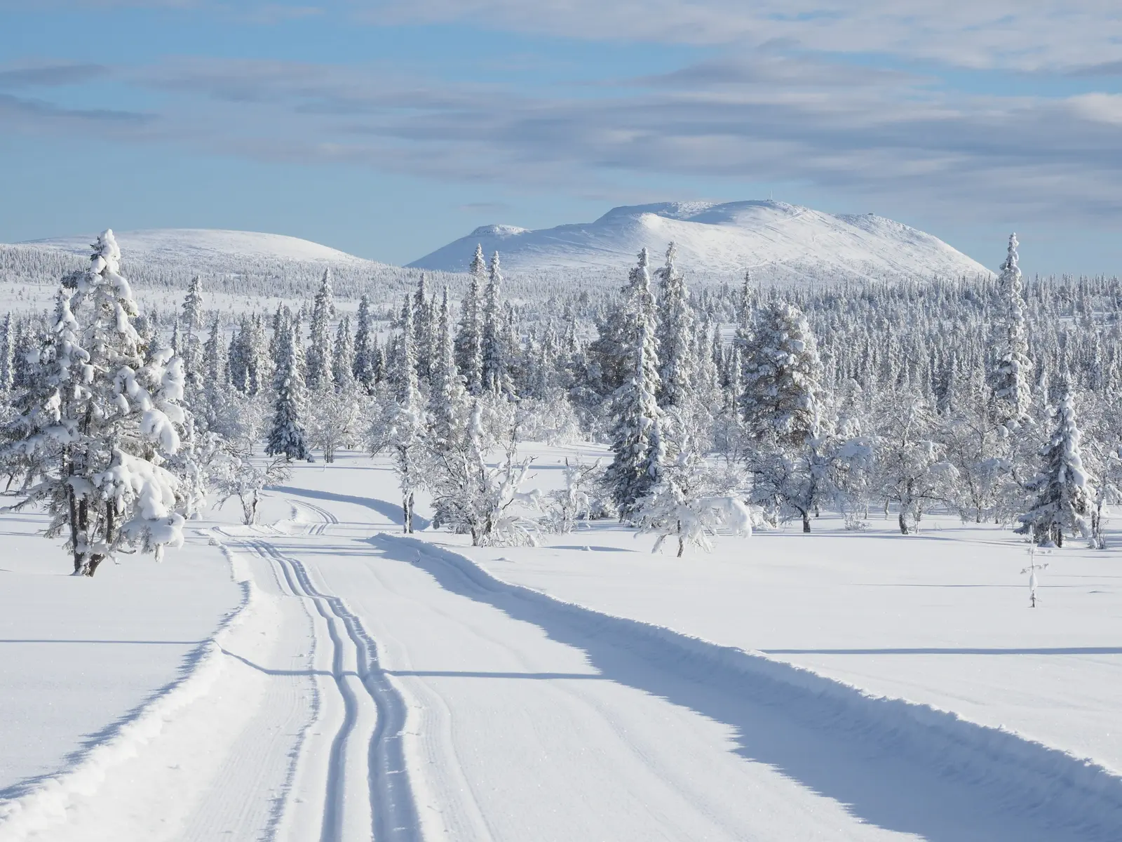 Image 1 of 1 of Hovärken A 3