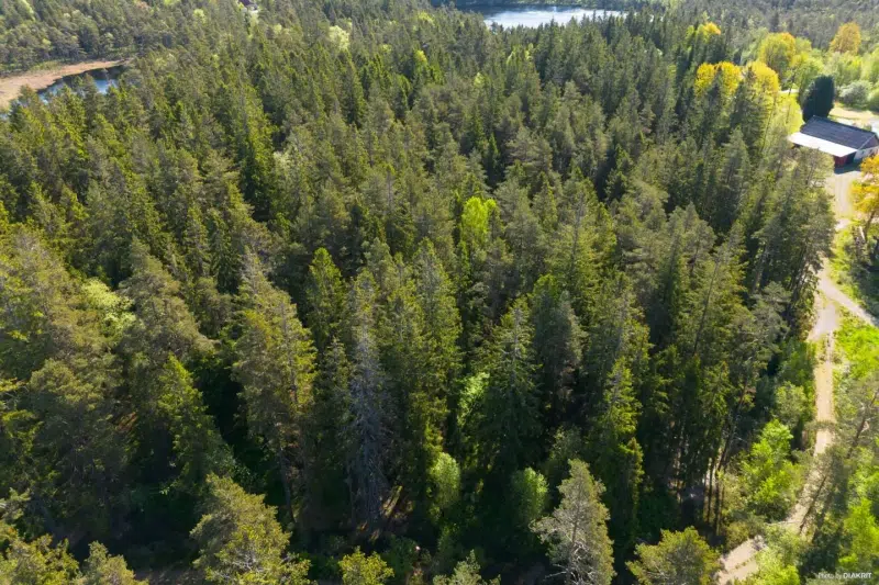 Tomt / mark, 493 m² i Hindås