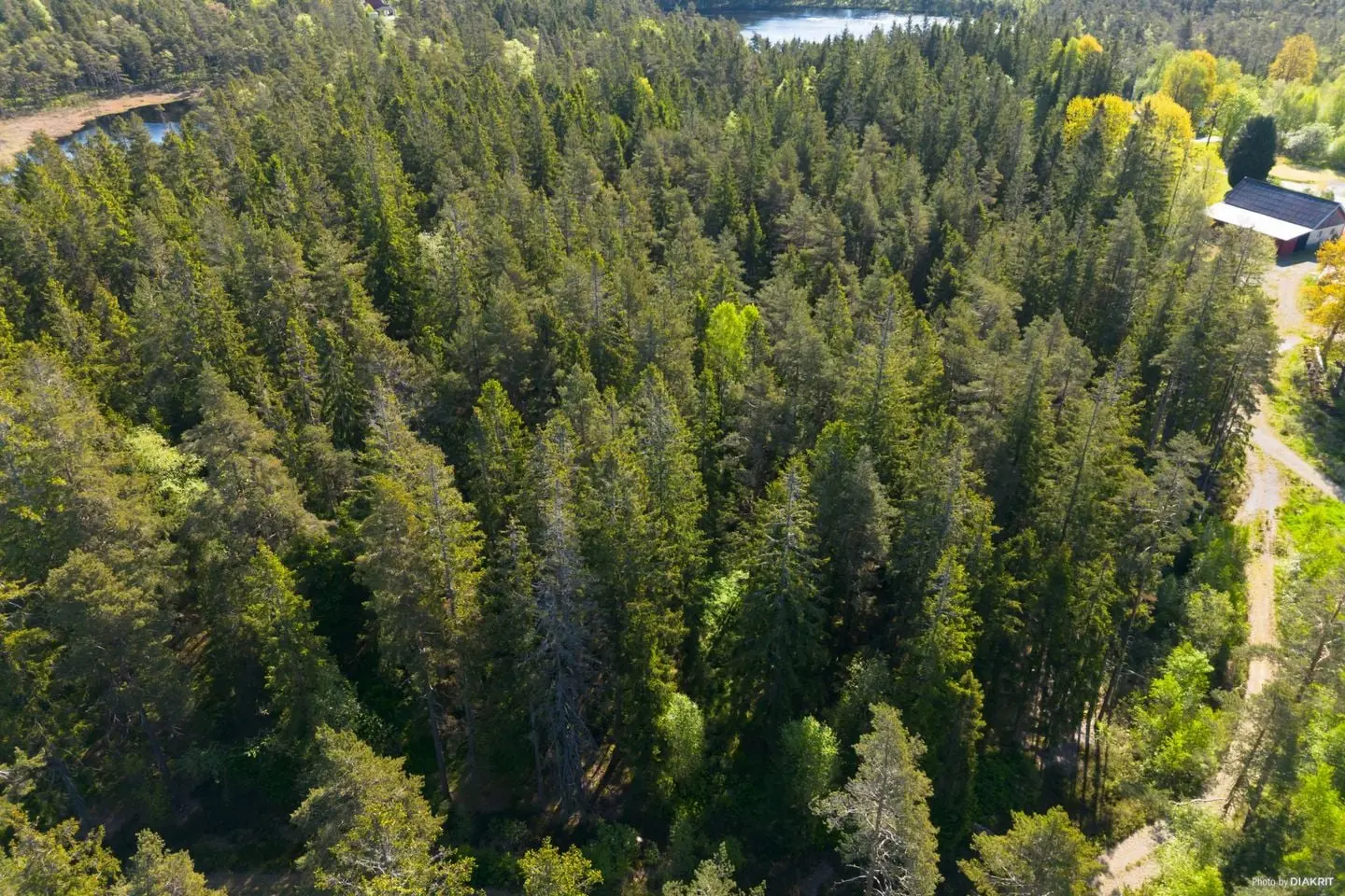 Image 1 of 7 of VÄRRED 2:32