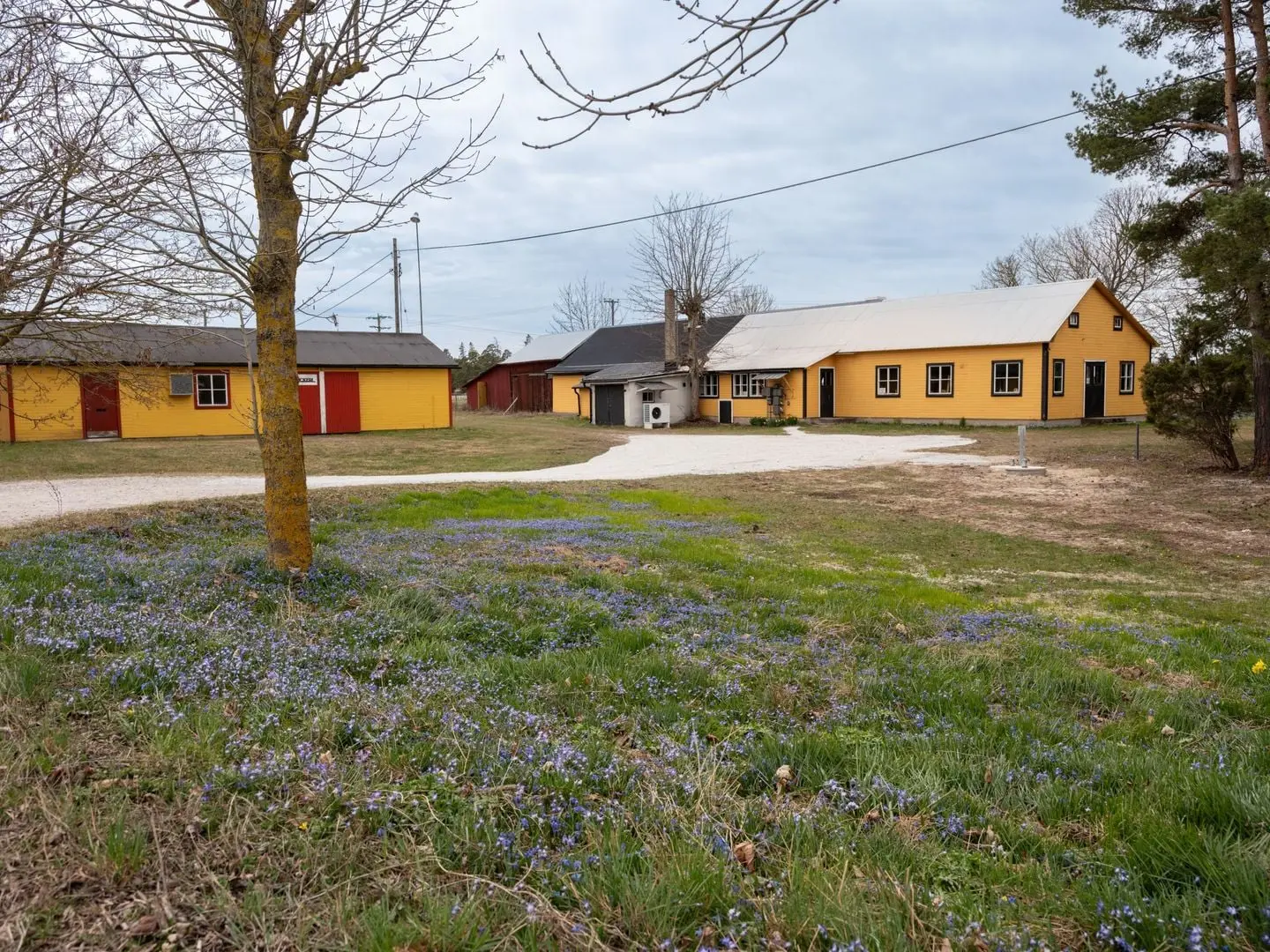 Bild 1 av 31 på Levide Pejnarve 462
