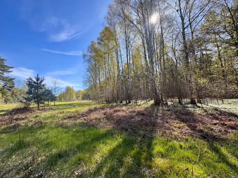 Tomt / mark, 980 m² i Fårö