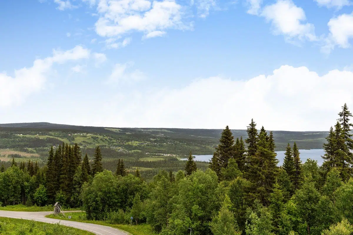 Image 1 of 15 of Önrun 21