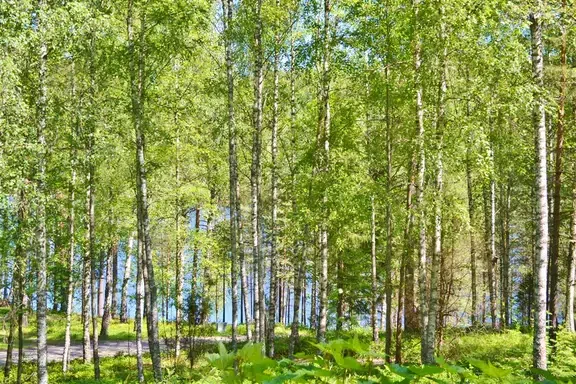 Bild 1 av 21 på Pyrolavägen 32