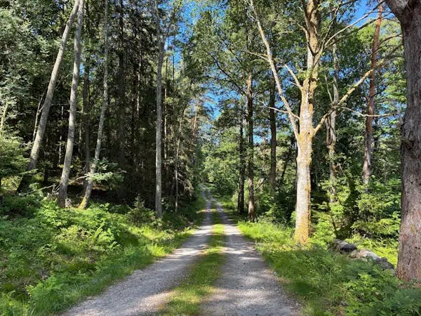 Bild 1 av 11 på ORUST TRÄTTE 2:13