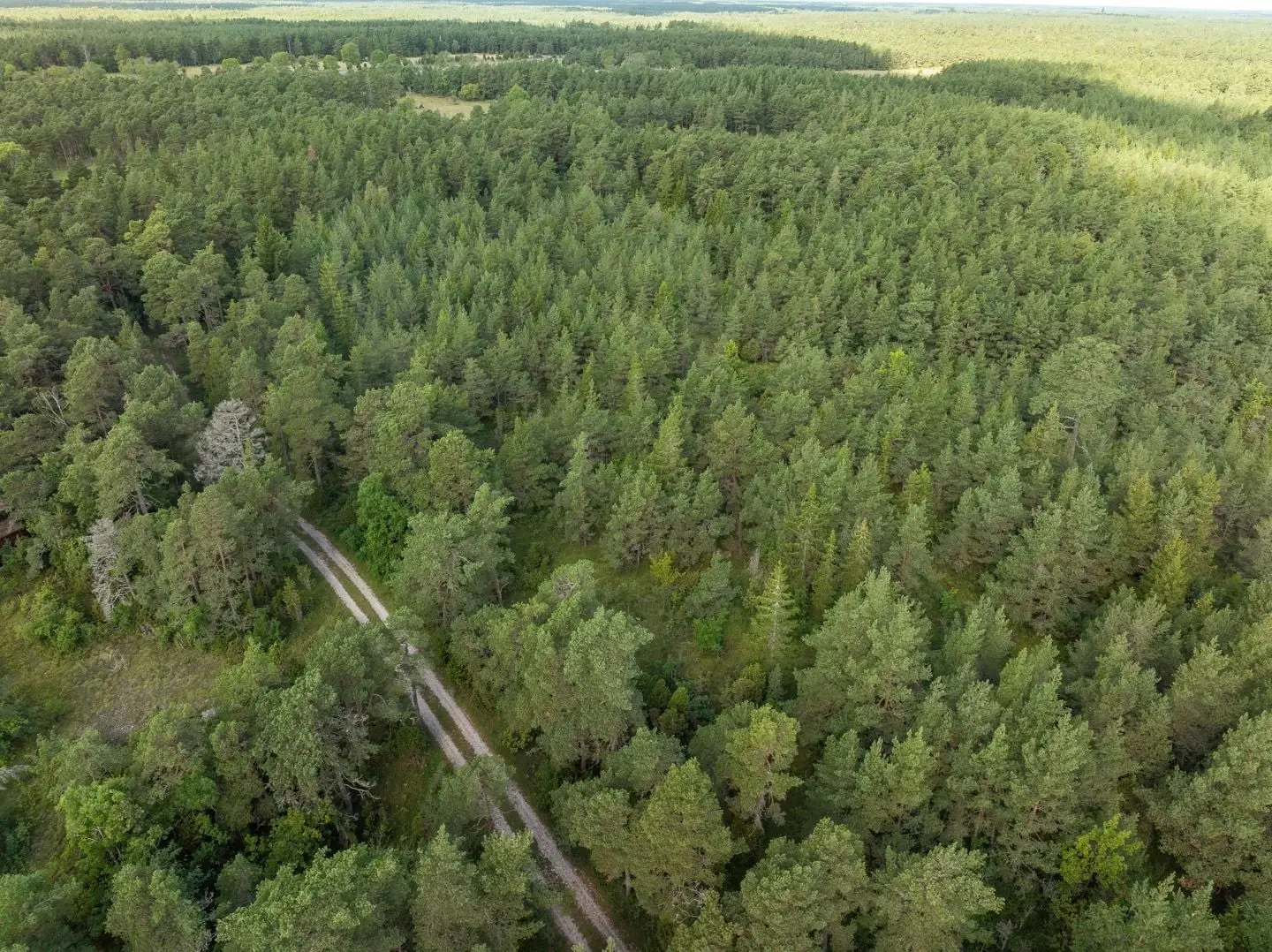 Bild 1 av 12 på Anga Boters 212C