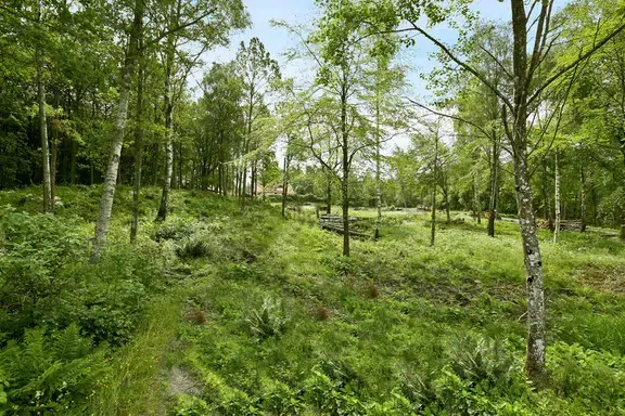 Image 1 of 21 of Riksvägen 35C