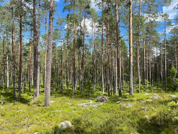 Bild 1 av 13 på NORDANSTIG GRYTTJE 2:12