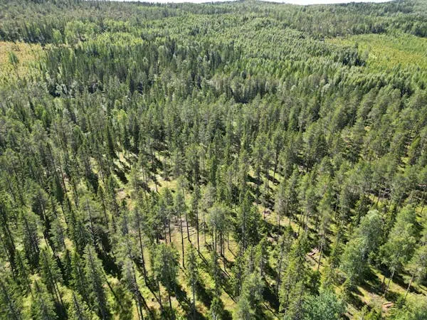 Farm in Nordanstig